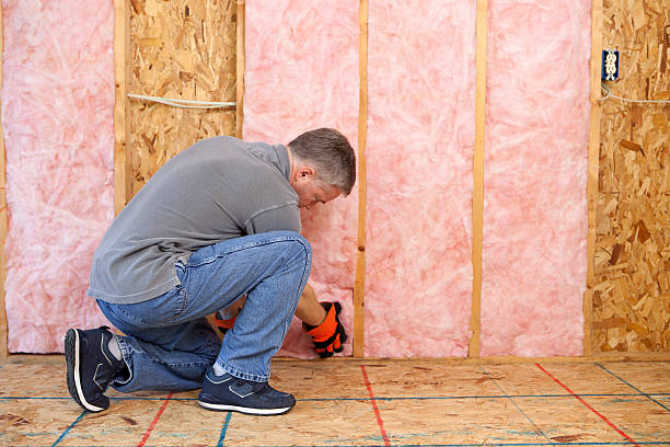 Best Cellulose Insulation in Luling, TX